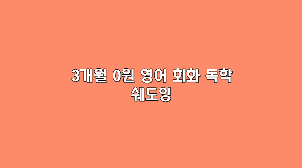 독학 쉐도잉
